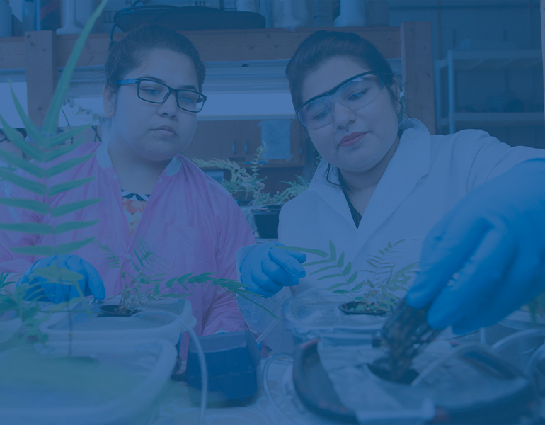 两名在实验室看植物的学生