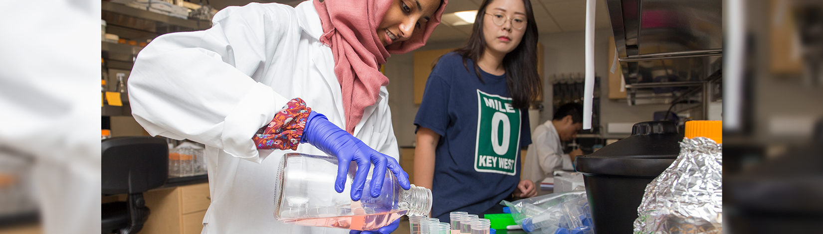 白色实验室外套中的女性CALS学生将液体倒入测试管中
